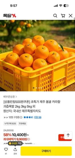 제주 봄귤 카라향 2kg