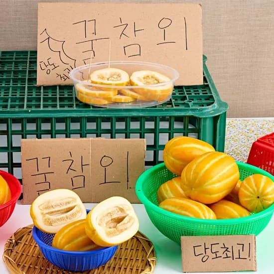못난이참외 5키로 15.900원