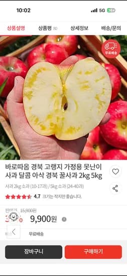 경북 고랭지 가정용 못난이 아삭 경북 꿀사과 2kg 5kg 9,900원
