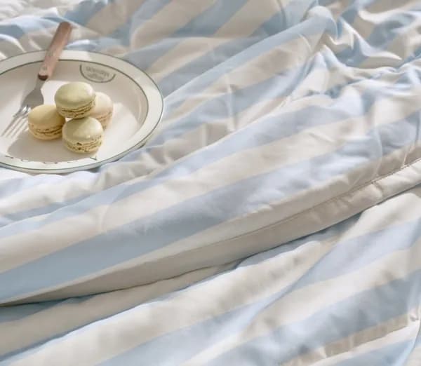 모던하우스 캐리어 12인티+18인티 세트 42150원 커피증정