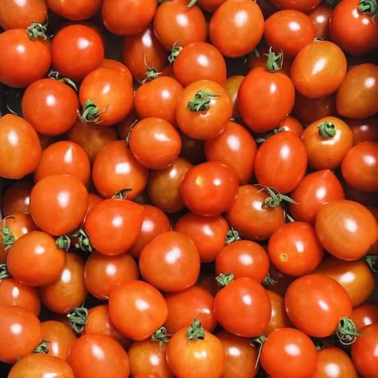 대추방울토마토 혼합과 5kg 15,590원