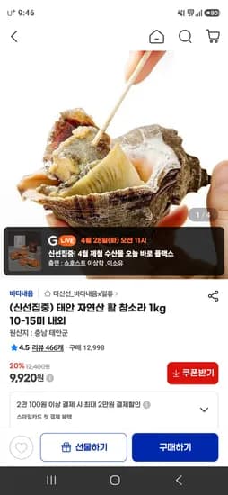 태안 자연산 활 참소라 1kg 10~15미 9,920원