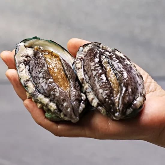 싱싱 완도 활전복 1kg 11~12미 토,카페머니 20,840원 무배