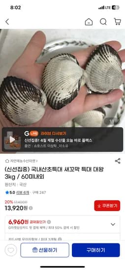 국내산초특대 새꼬막 특대 대왕 3kg / 60미내외 13,920원