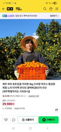 공항길귤창고 제주 효돈감귤 카라향2kg 19,900원 무배