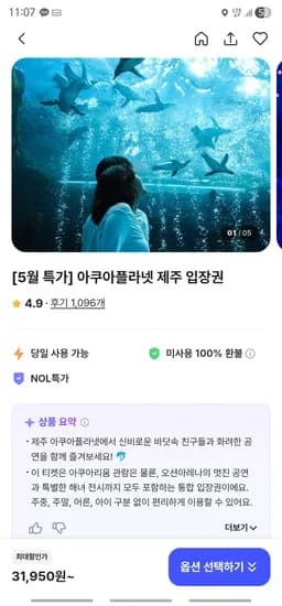아쿠아플라넷 제주 31,950원~