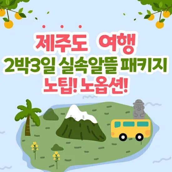 제주도여행2박3일 항공+투어+호텔 패키지 231,380원