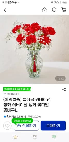 카네이션 생화 5송이