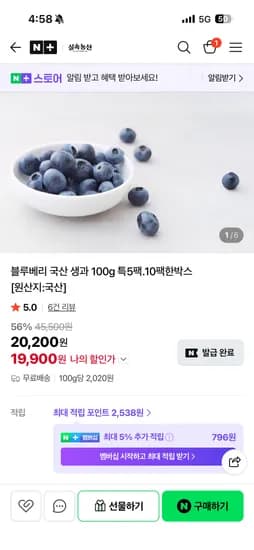 실속농산 블루베리 생과 5팩