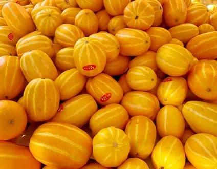 고씨네농장 성주 꿀 참외 로얄과 5kg 10-17과