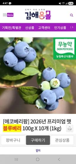 블루베리 100g 10개