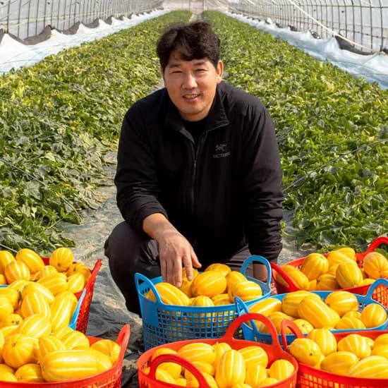 당도보장 꿀 참외 4.5kg 혼합과 16,920원 무배