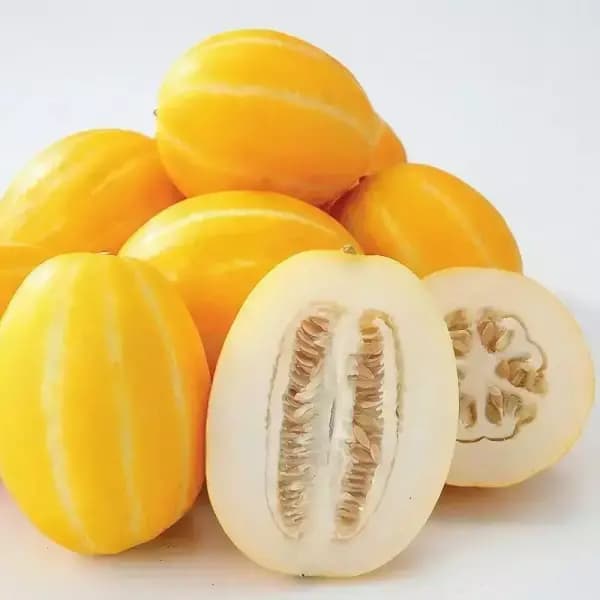 성주 꿀참외 2kg (랜덤과/가정용) 9,720원