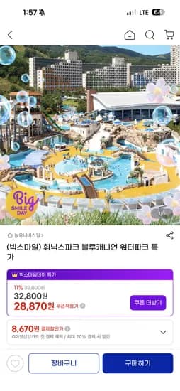 휘닉스파크 블루캐니언 종일권 28,870원