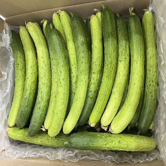 백다다기 오이 1kg 5,420원