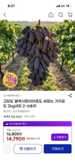 블랙사파이어포도 가지포도 2kg 14,790원