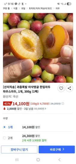 하우스 자두 300g 14,100원 무배