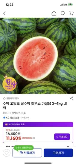 하우스 고당도 수박 가정용 3~4kg 내외 11,160원
