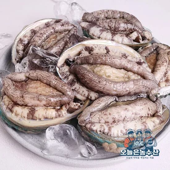 선도보장 활전복 1KG 4~6미 19,110원 무배