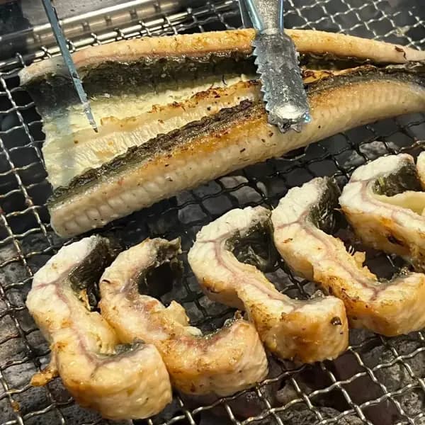 고창 자포니카 민물장어 1kg 17,770원
