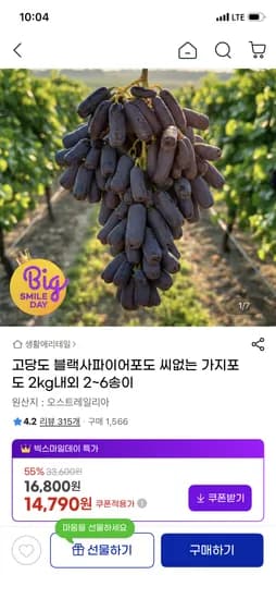 블랙 사파이어포도 씨없는 2kg