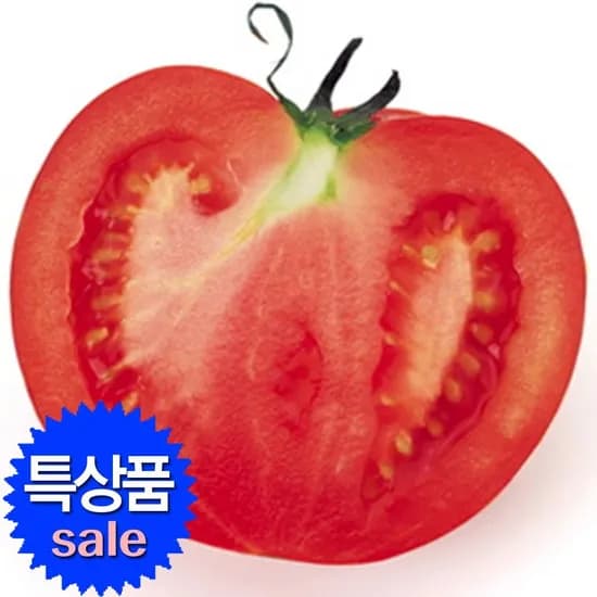 찰 토마토 5kg 4~5번