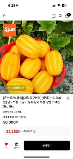 성주 참외 특품 3kg