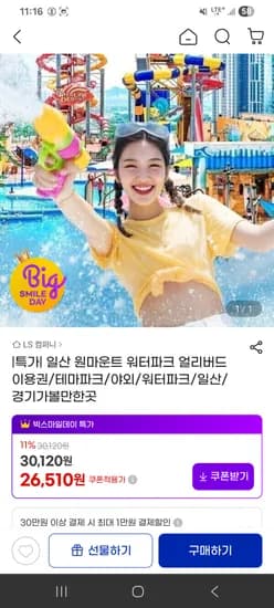 일산 원마운트 워터파크 종일권 1개