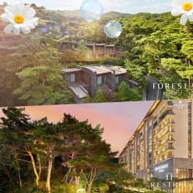 포레스트 리솜 2인 스파 패키지 총 2개
