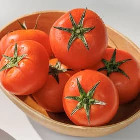 완숙토마토 2.5kg 1~3번 로얄과