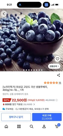 국산 생블루베리 400g
