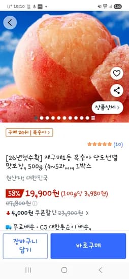 털복숭아 500g 외 다양