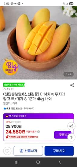 마하차녹 무지개 망고 특/대과 8-12과 4kg