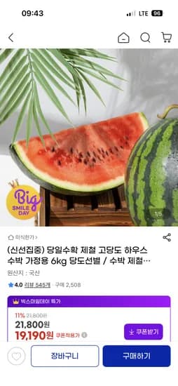 하우스 수박 6kg