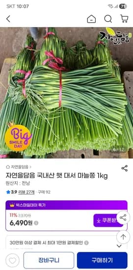 햇 대서 마늘쫑 1kg