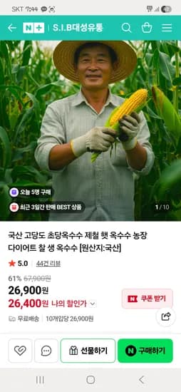 냉동 초당옥수수 12cm 이상 외 다양 10개