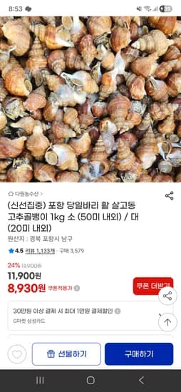 포항 활 살고동 고추골뱅이 1kg 소 외 다양 50미