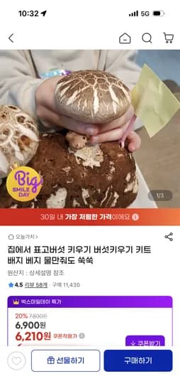 표고버섯 키우기 6,210원