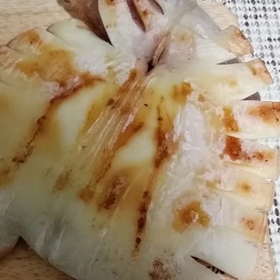 반건조 오징어