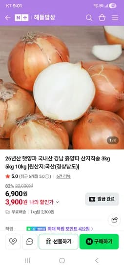 국내산 햇양파 소 10kg