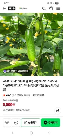 국내산 미니오이 500g