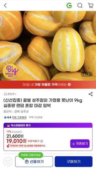 성주참외 꿀참외 가정용 9kg