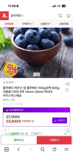 제주산 생 블루베리 100g 6팩