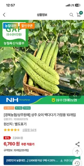 오이 백다다기 가정용 10개입 2kg 외 다양