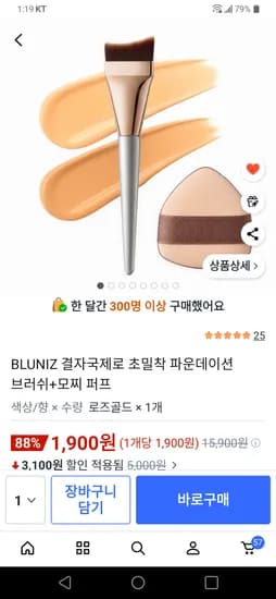 파운데이션 브러쉬 퍼프 세트