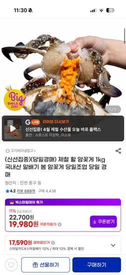 제철 활 암꽃게 1kg 국내산 알배기 봄 암꽃게 당일조업 당일 경매(17,590원 / 무배)