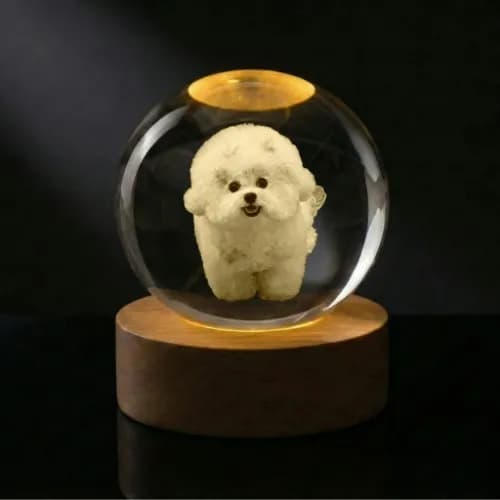 소담구슬 3D 크리스탈 각인 반려견 무드등 49,000원 무배