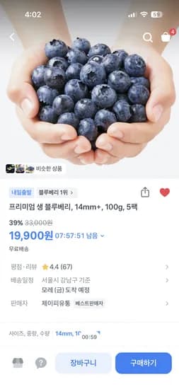 생블루베리 100g 외 다양 5팩