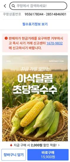 초당옥수수 5개