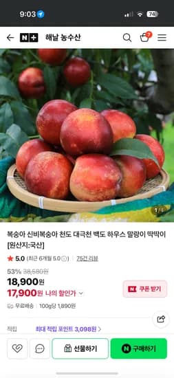 신비복숭아 1kg 해날농수산